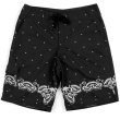 画像1: 【CROOKS&CASTLES】 BONE BANDANA BOARDSHORT (1)